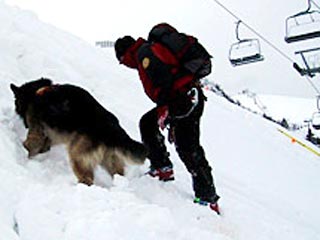 Кузбасские спасатели отработают приёмы поиска людей под снежными лавинами